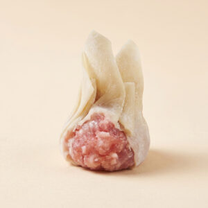 Close-up shot of steaming hot authentic Cantonese pork wontons showing thin wrapper and juicy meat filling