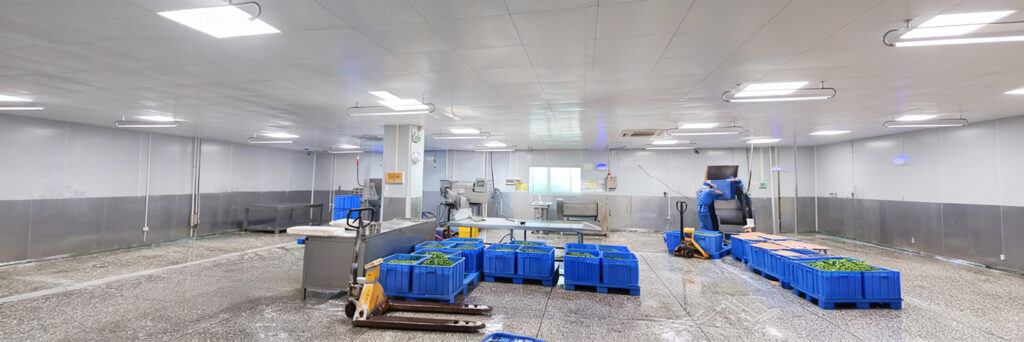 Vegetable Processing Workshop